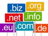 What is Domain Names, Extensions, DNS etc